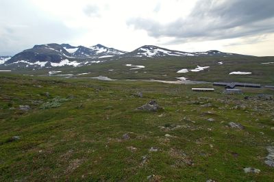 PICT3316_1.jpg