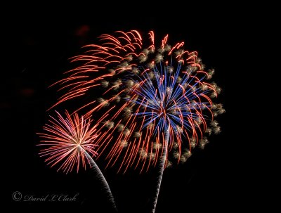 Fireworks - Michigan 2011