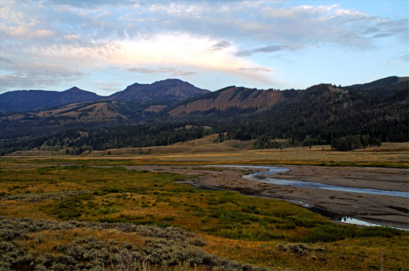 Lamar Valley