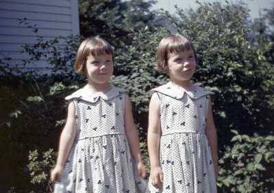 Twins Fall of 1952