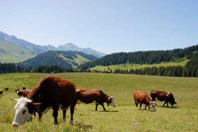 La Clusaz France 2011