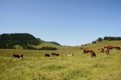 La Clusaz France 2011