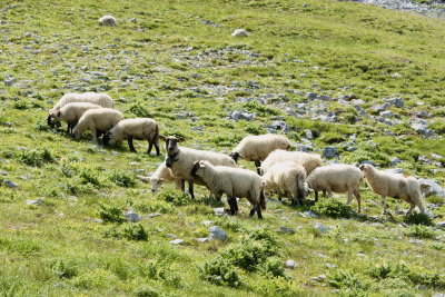 La Clusaz France 2011