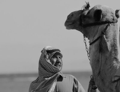 camel & bedouin.JPG