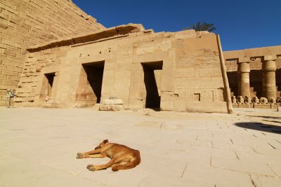 Karnak Temple_0029.JPG