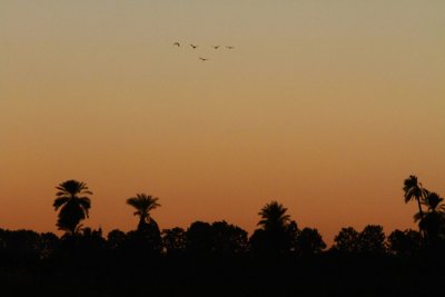 Maritim Luxor Hotel_0014.JPG