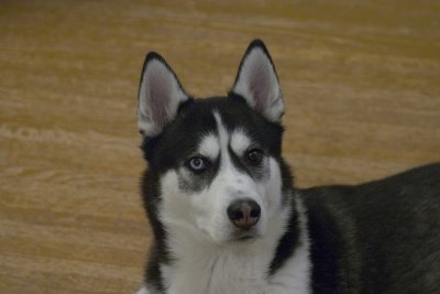 CRW_5579.jpg