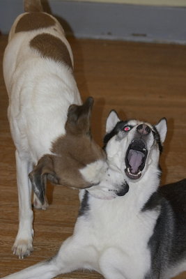 CRW_5583.jpg