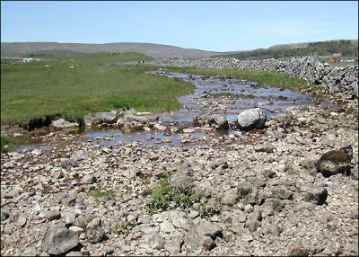 Yorkshire Dales, June 2006