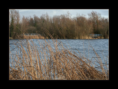 Milton Country Park, January 2008