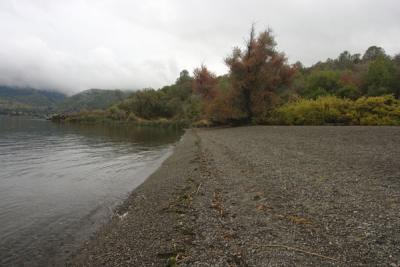 g4/37/284637/3/59974954.NapaImage034.jpg