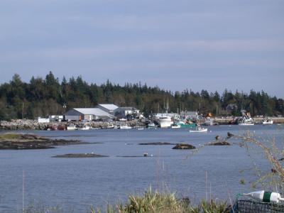 Stonington, Maine