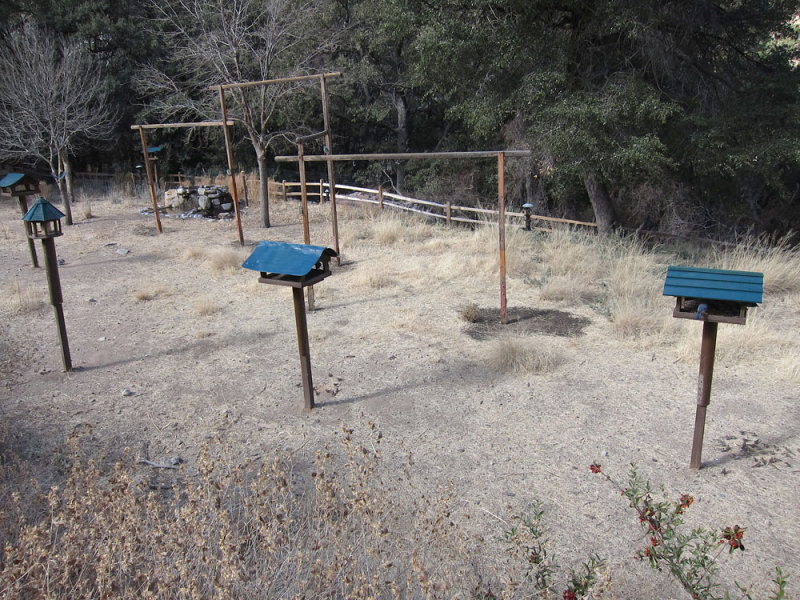 Santa Rita Lodge feeders