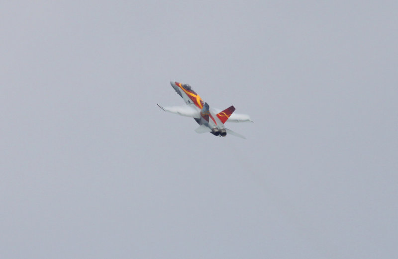 Royal Canadian Air Force (RCAF) CF-18 Hornet