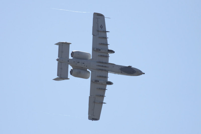 Fairchild Republic A-10 Thunderbolt II (Warthog)