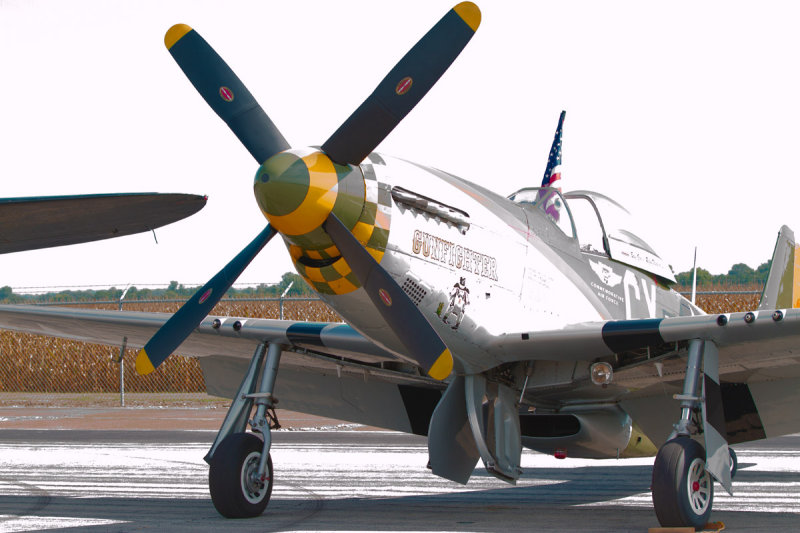 North American P-51D Mustang Gunfighter