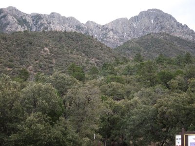 Madera Canyon