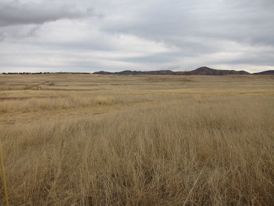 San Rafael Valley grasslands