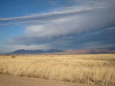 Sulphur Springs Valley grasslands