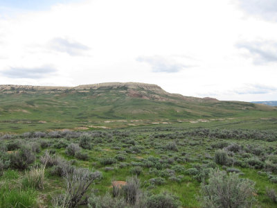 Fossil Butte National Monument, WY
