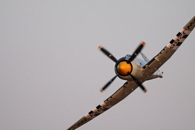 Hawker Sea Fury F.B.11