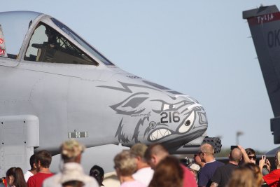 Fairchild Republic A-10 Thunderbolt II (Warthog)