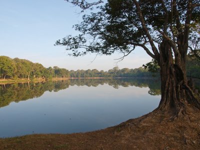 PC300752_lr.jpg