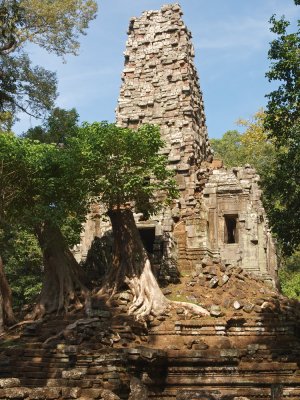 PC300930_lr.jpg