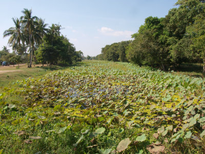 Beng Mealea