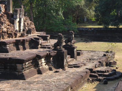 P1011197_lr.jpg