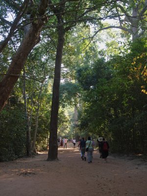 P1011286_lr.jpg