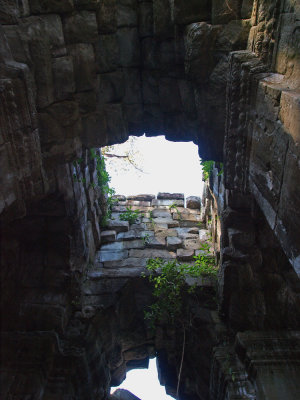 P1011319_lr.jpg