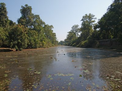 P1011341_lr.jpg