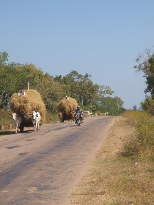 Siem Reap countryside