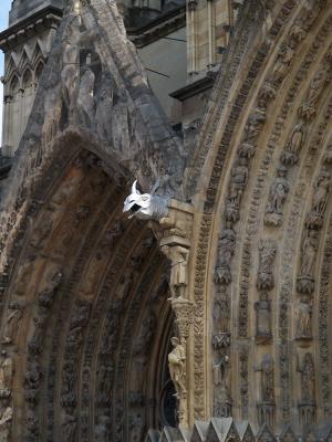 P4112537_lr.jpg