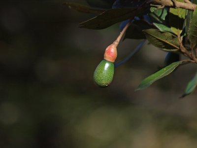 PC201136_lr.jpg