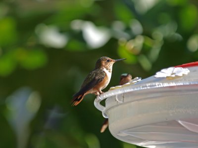 PC201149_lr.jpg