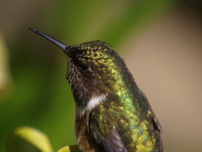 PC201163_lr.jpg