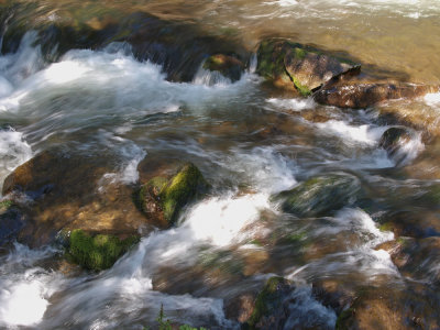 PC201173_lr.jpg