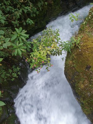 PC201217_lr.jpg