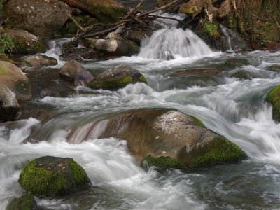 PC201239_lr.jpg