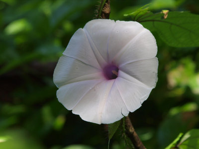 PC312115_lr.jpg