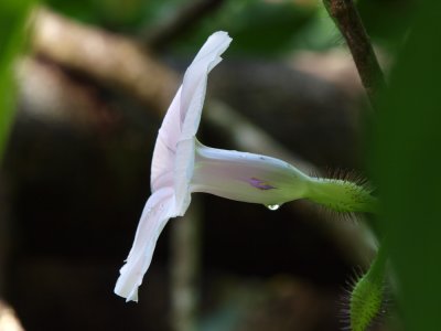 PC312116_lr.jpg