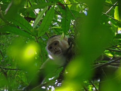 PC312137_lr.jpg