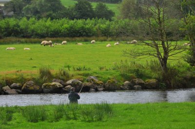 011_9932Killarney_RingofKerry.jpg