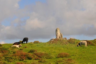 011_10079Killarney_RingofKerry.jpg