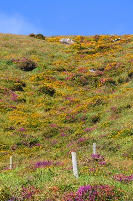 011_10157Killarney_RingofKerry.jpg