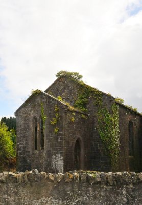 011_1133Tullamore_Cabra.jpg