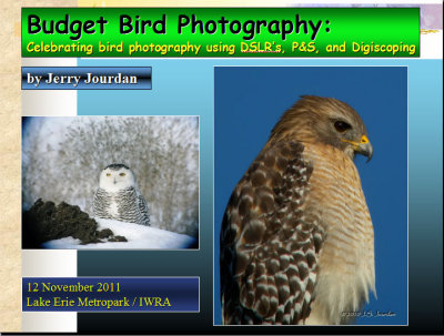 Bird Photography on a Budget - 14 Nov 2011