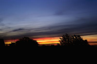 IMG22878.jpg